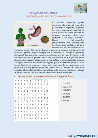 Enfermedades y cuidados del sistema digestivo