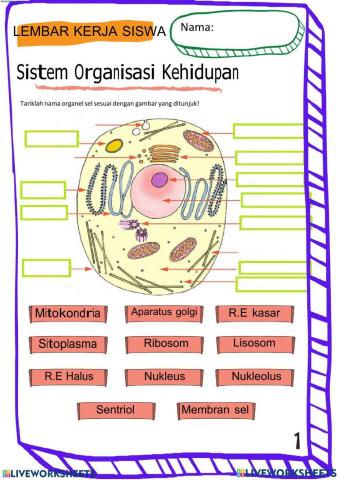 Lembar kerja kehidupan organisasi