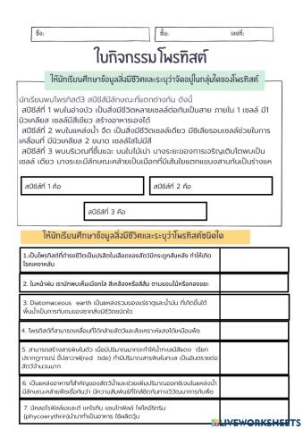 กลุ่มโพรทิสต์