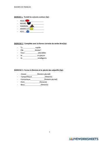 EXAMEN DE FRANÇAIS 1º ESO