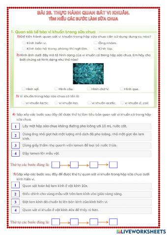Thực hành quan sát vi khuẩn và làm sữa chua