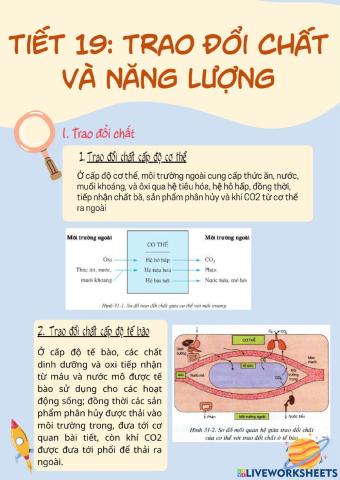 Sinh 8 - Trao đổi chất và năng lượng