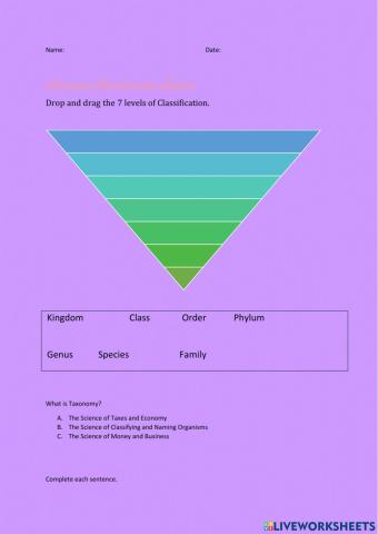 Linnaeus Classification System