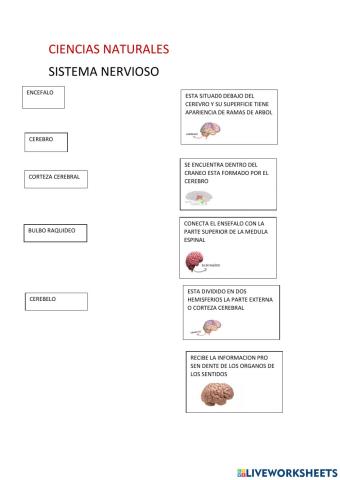 Ciencias naturales