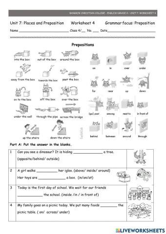 Unit 7 worksheet 4