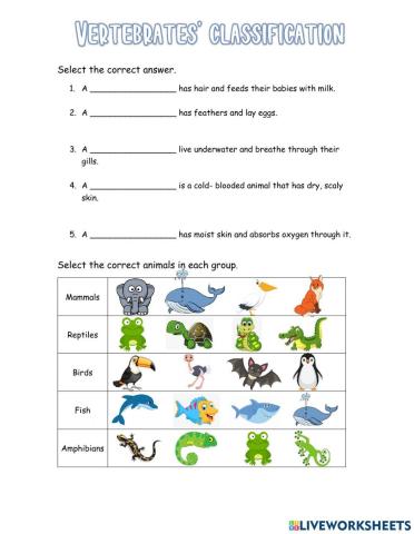 Vertebrate-s classification