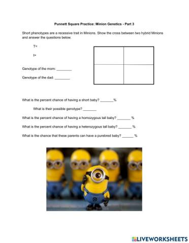 Minion Genetics Part 3