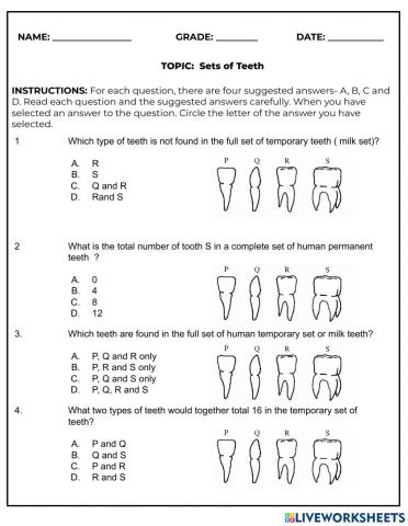 Milk and Permanent Teeth