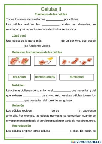 Funciones de las células