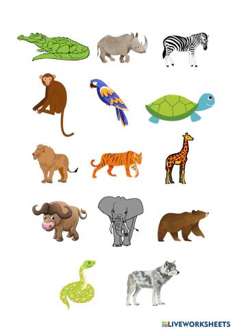 Animals 2