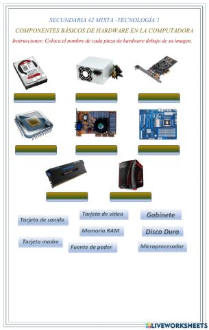 Hardware básico y complementario