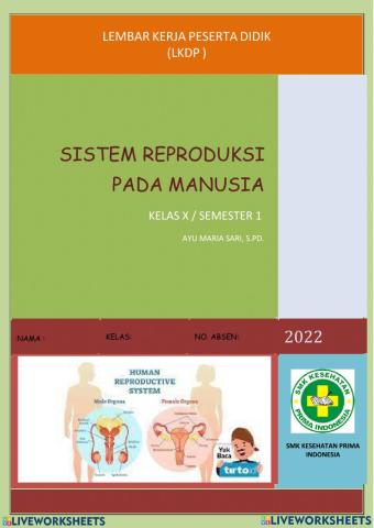 Sistem Reproduksi