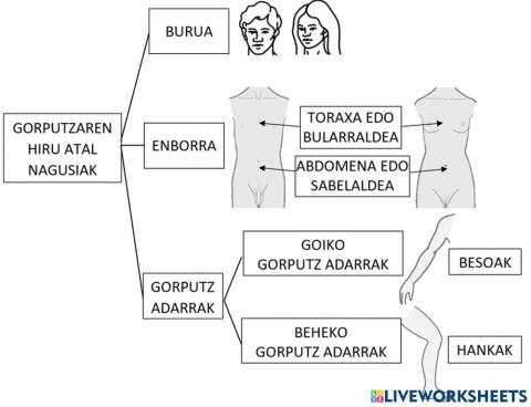 Giza-Gorputza