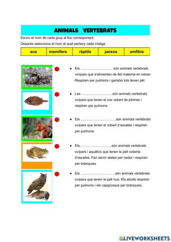 Animals vertebrats