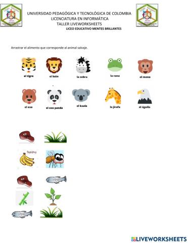 Diferencia de los alimentos de los domésticos