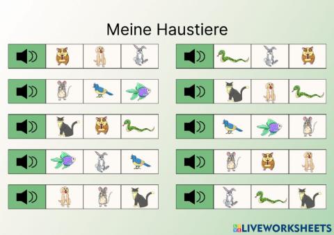 Meine Haustiere