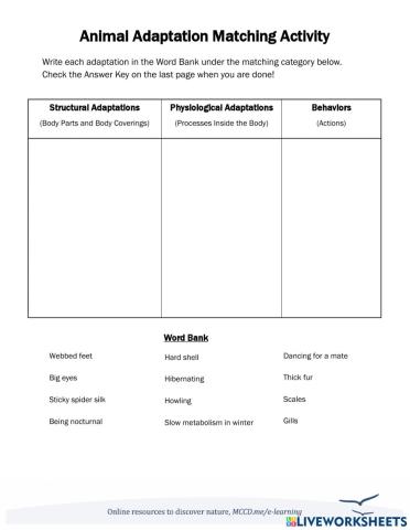 Types of Animal Adaptations