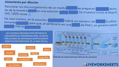 Aislamiento por dilución