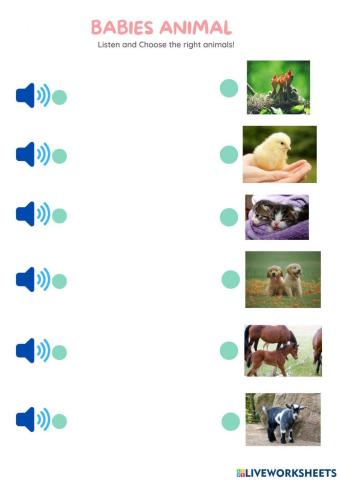 What are animals sounds like