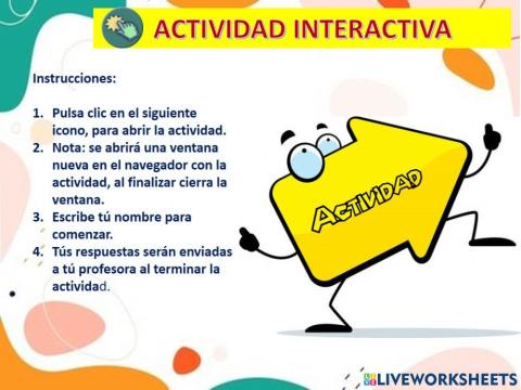 Interactiva redes