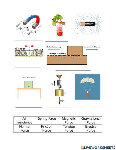 Types of Forces