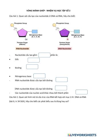 Nucleic acid