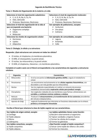 Evaluación de nivelación