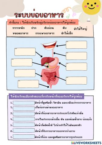 ระบบย่อยอาหาร ป.6