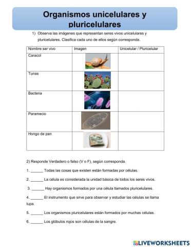 Organismos unicelulares y pluricelulares