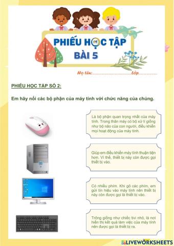 Phiếu bài tập