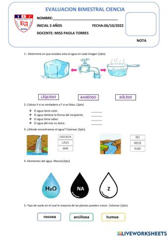 Evaluacion bimestreal de ciencia