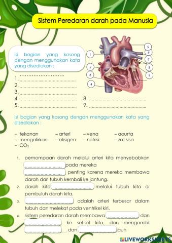 LKPD Sistem Peredaran Darah