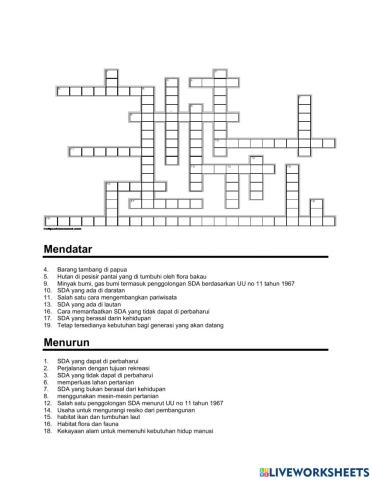 Puzzle geografi sda xi ips