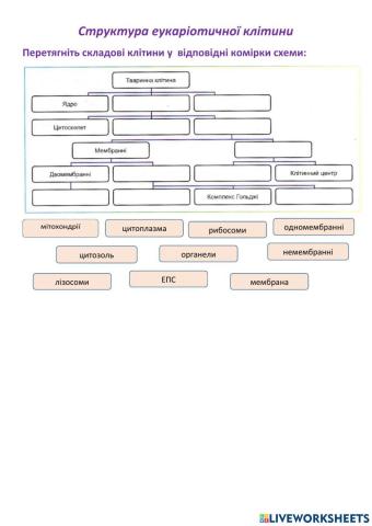 Структура еукаріотичної клітини