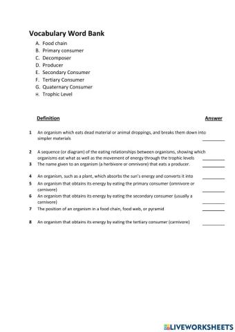 Food Chain Vocabulary