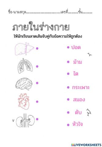 สุขศึกษา