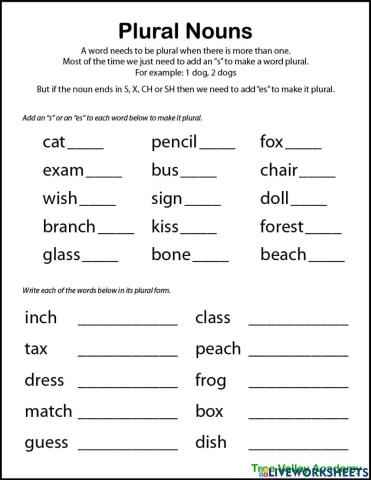 Plurals Worksheet - Adding S