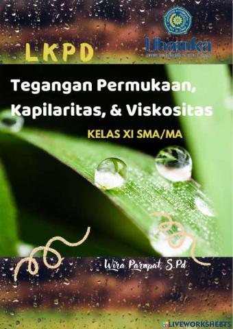 Tegangan Permukaan & Kapilaritas