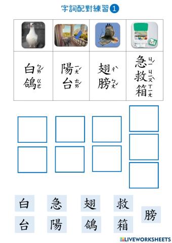 小白鴿(字詞配對)