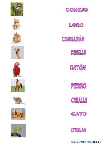 Une los animales con su nombre.