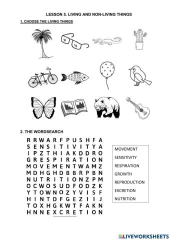 Lesson 5. living and nonliving things