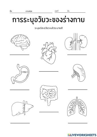 ใบกิจกรรที่ 1.1