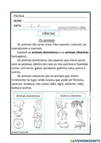 Atividade animais