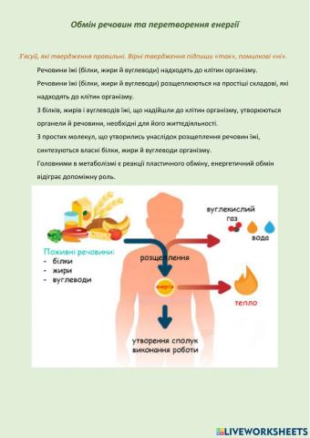Обмін речовин і перетворення енергії