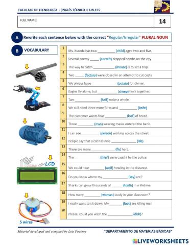 Regular & regular Nouns