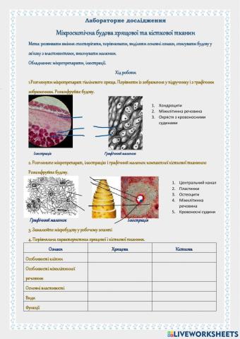 Лабораторне дослідження. Мікроскопічна будова хрящової та кісткової тканин