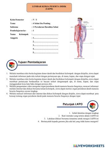 LKPD Organ Peredaran Darah dan Fungsinya