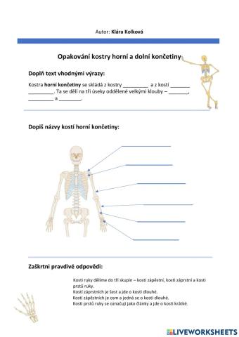 Pracovní list - opakování kostry horní a dolní končetiny