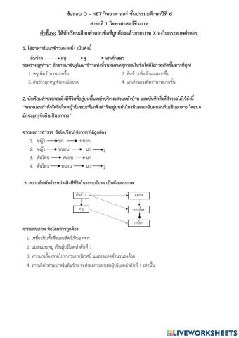 O-net ป.6 วิทยาศาสตร์ชีวภาพ