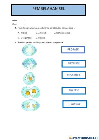 Biologi